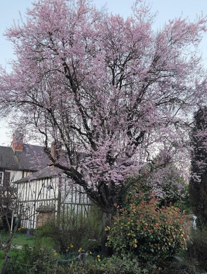 Le rêve Bleu: Gite dans un endroit reposant Blicourt Exterior foto